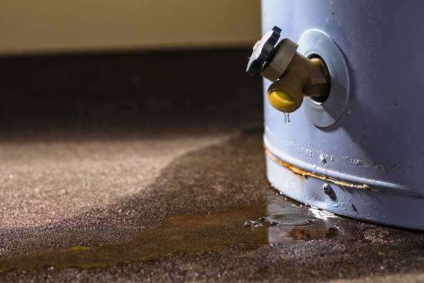 Reliable Roscoe, IL Water damage restoration Solutions